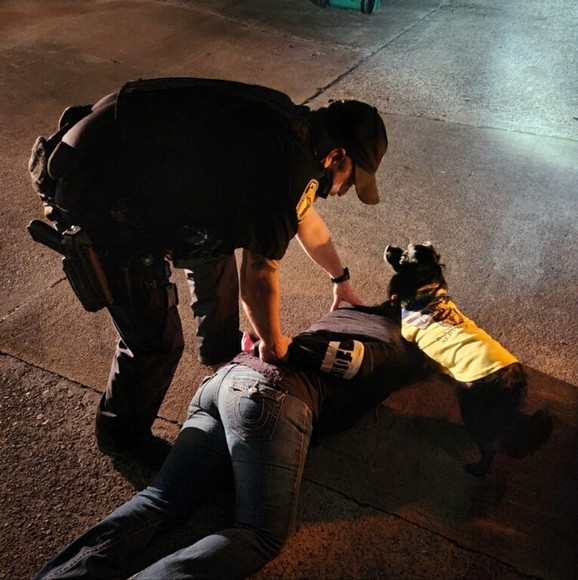 🐾Signed LT Toby Sticker🐾 - Picture 4 of 13